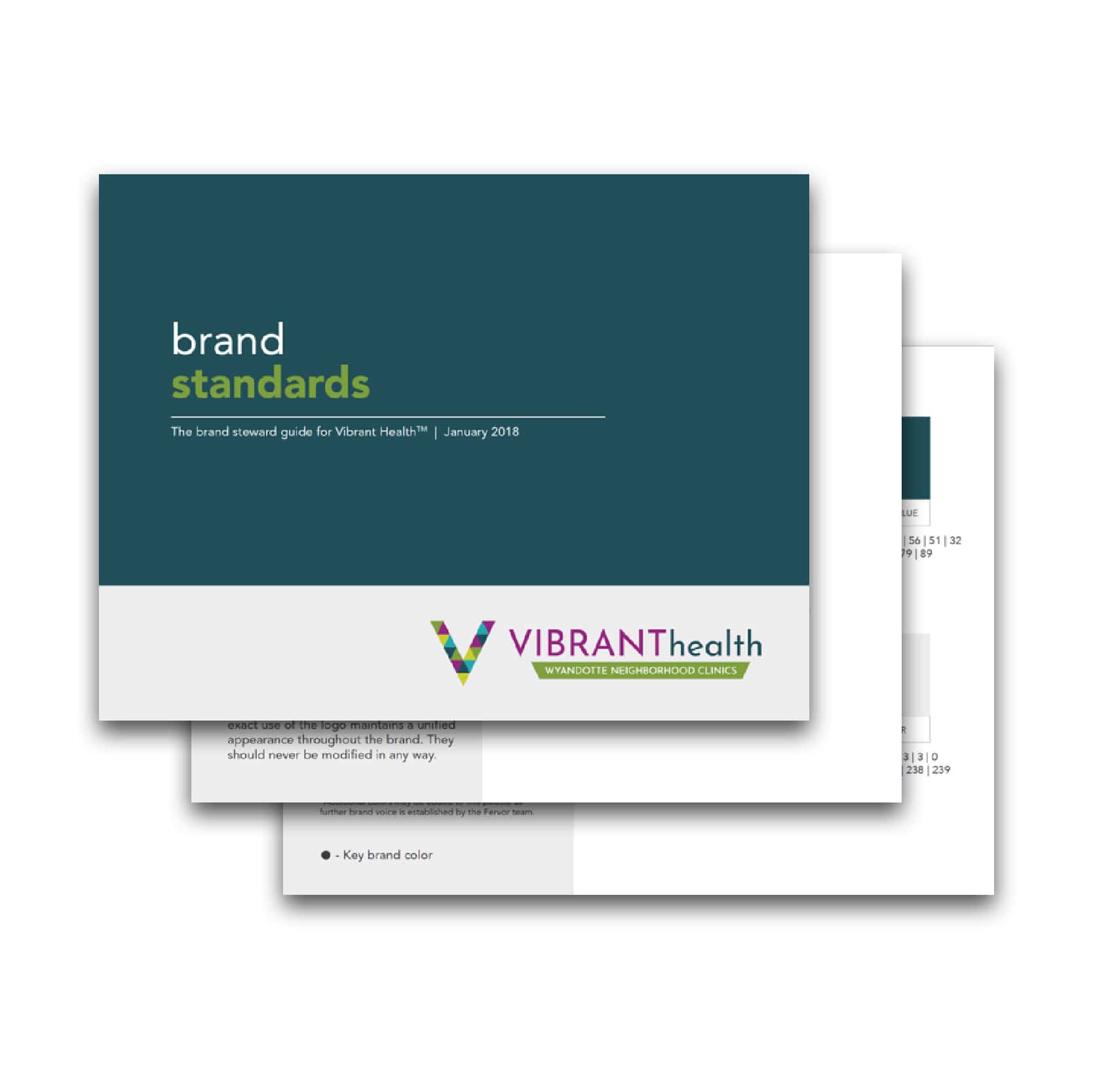 Vibrant Health Assessment + brand identity: spotlight image 3